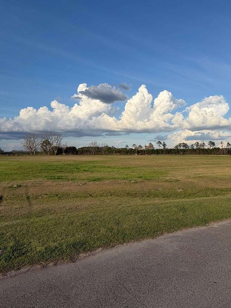 1 Acre of Residential Land for Sale in Nashville, Georgia