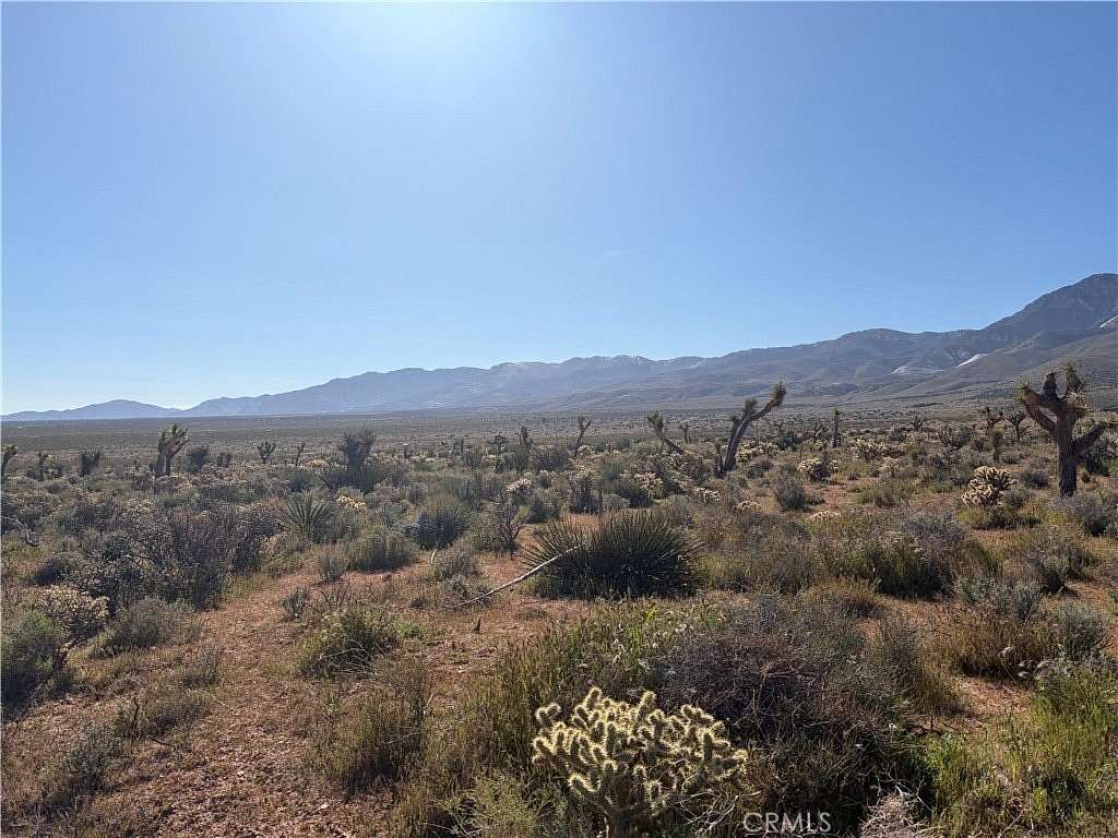 10 Acres of Land for Sale in Lucerne Valley, California