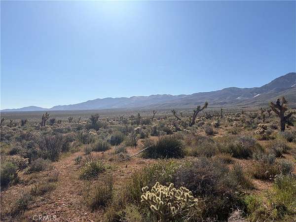 10 Acres of Land for Sale in Lucerne Valley, California