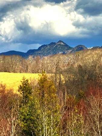 3.69 Acres of Land with Home for Sale in Linville, North Carolina