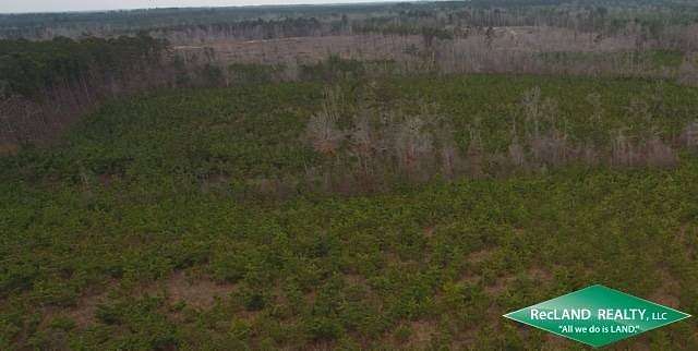 40 Acres of Recreational Land for Sale in Kelleys, Louisiana