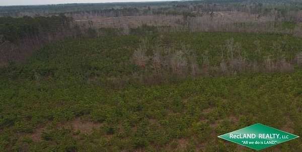 40 Acres of Recreational Land for Sale in Kelleys, Louisiana