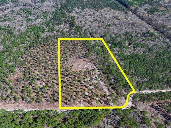12.7 Acres of Recreational & Residential Land for Sale in Trinity, Texas