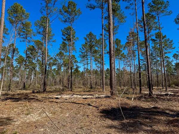12.7 Acres of Recreational & Residential Land for Sale in Trinity, Texas