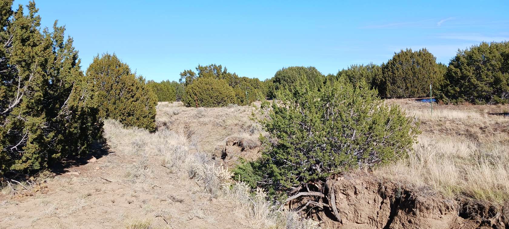 1.14 Acres of Residential Land for Sale in Concho, Arizona