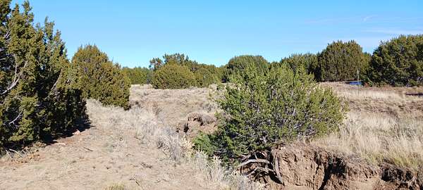 1.14 Acres of Residential Land for Sale in Concho, Arizona