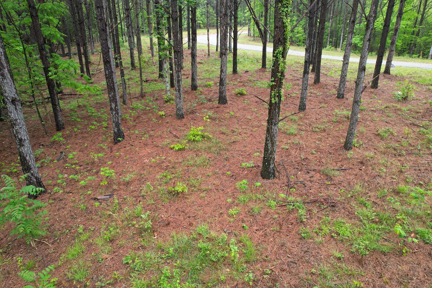 6.5 Acres of Residential Land for Sale in Linden, Tennessee