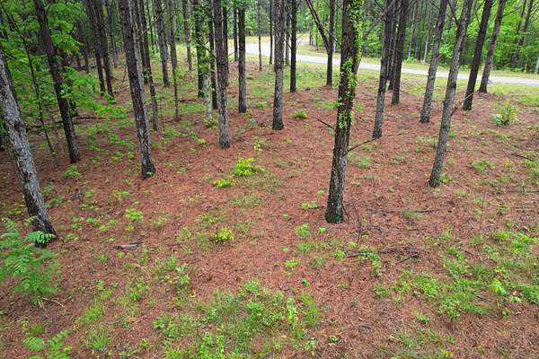 6.5 Acres of Residential Land for Sale in Linden, Tennessee