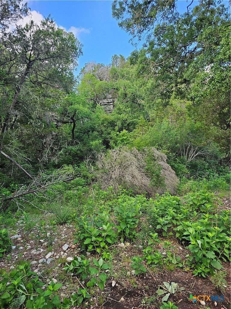 20 Acres of Land for Sale in New Braunfels, Texas