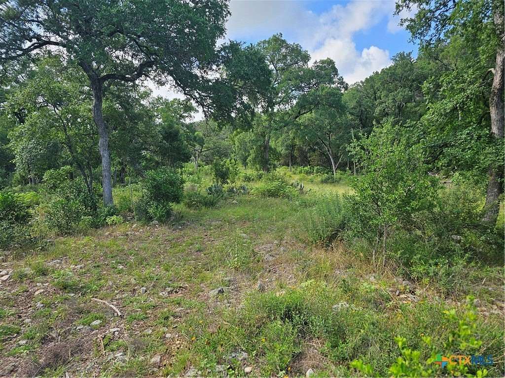 68 Acres of Recreational & Residential Land for Sale in New Braunfels, Texas