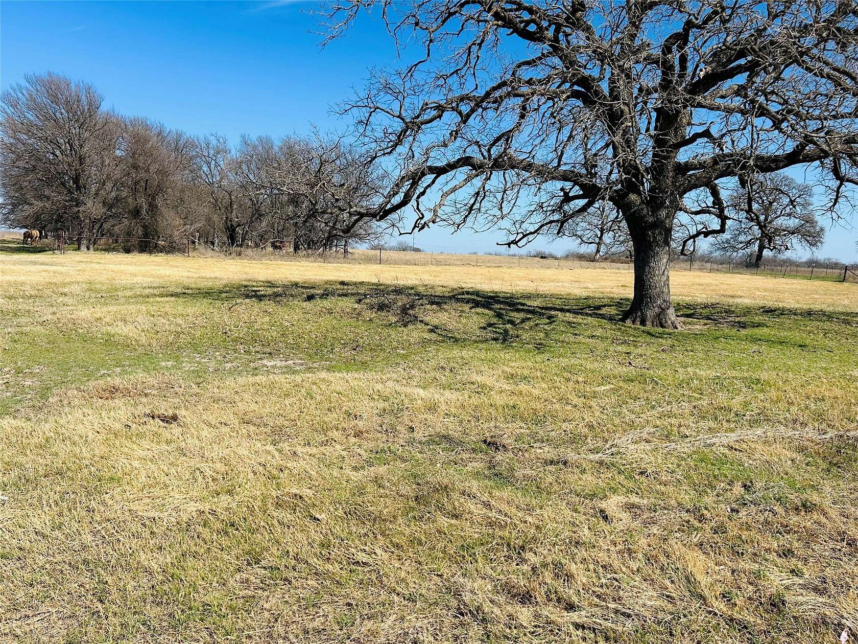 11.8 Acres of Agricultural Land for Sale in Aquilla, Texas