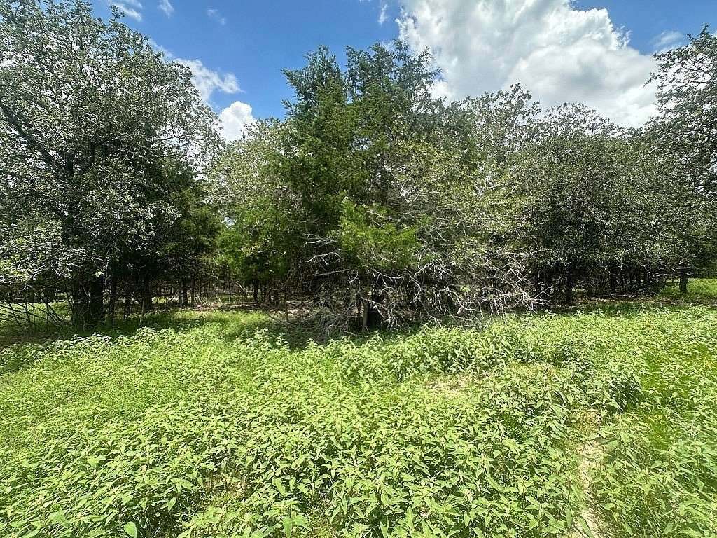 5.5 Acres of Land for Sale in Flatonia, Texas