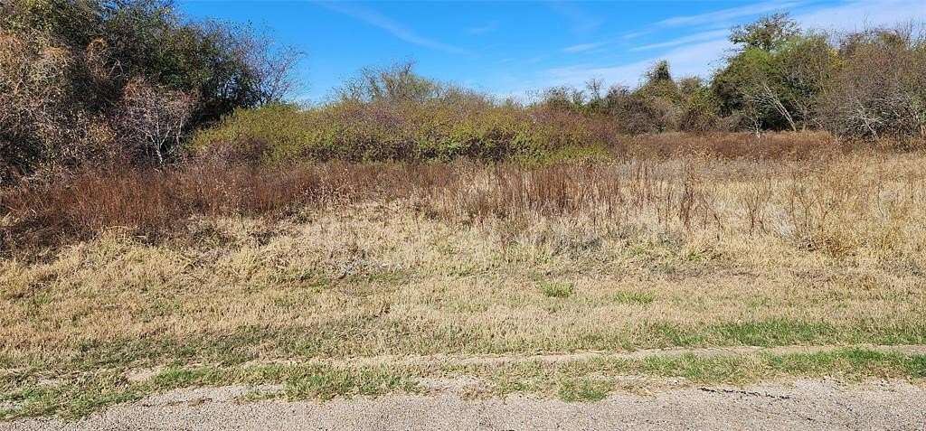 0.26 Acres of Land for Sale in Whitney, Texas