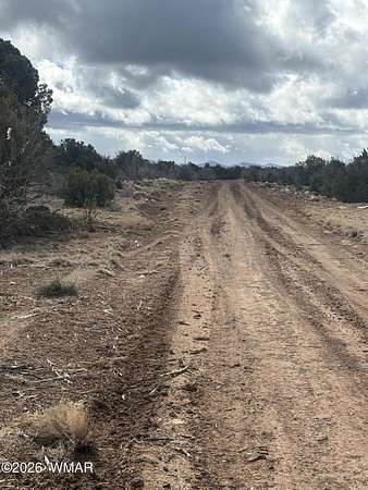 20.2 Acres of Land for Sale in Concho, Arizona
