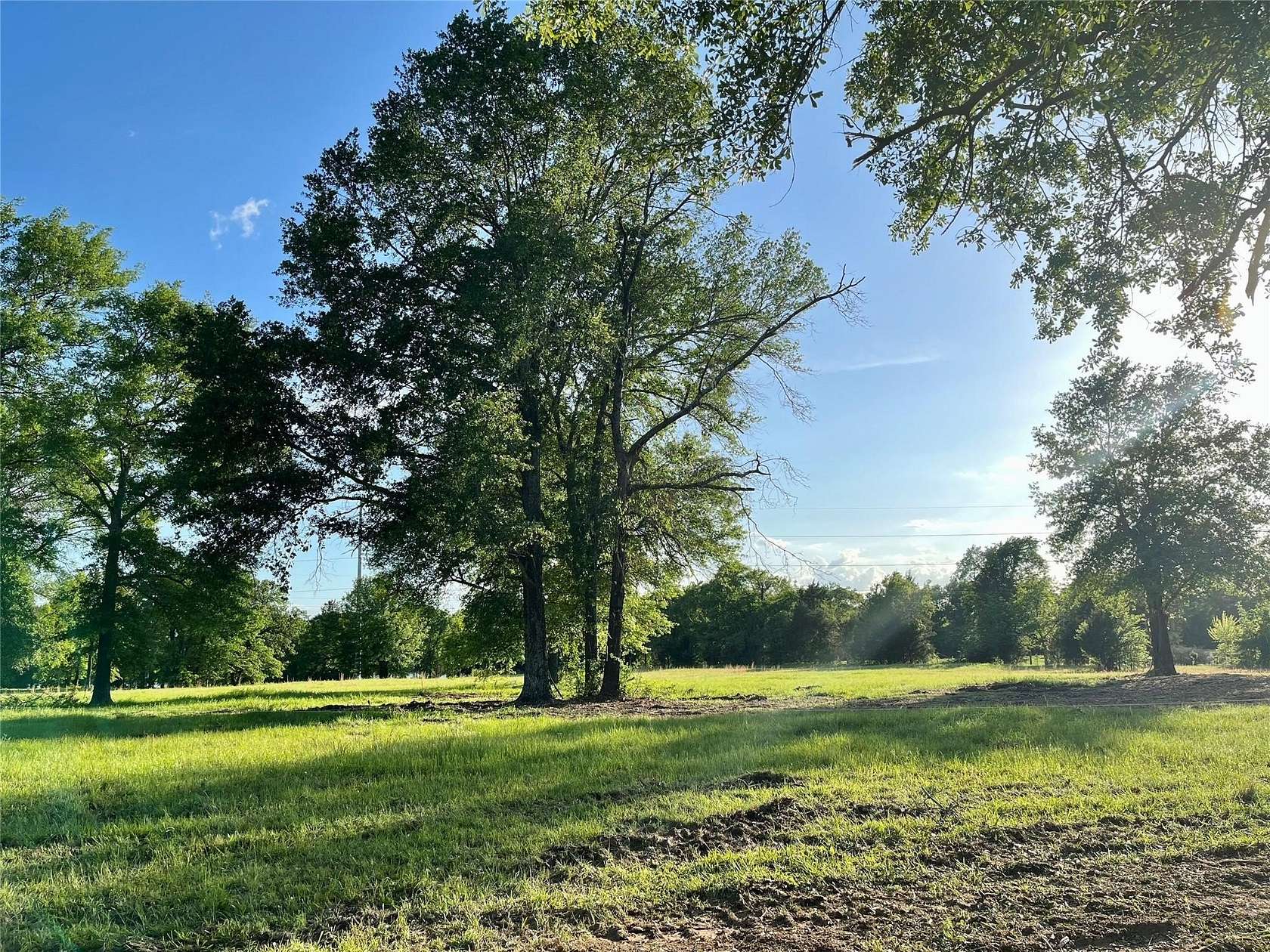 65 Acres of Land for Sale in Eustace, Texas