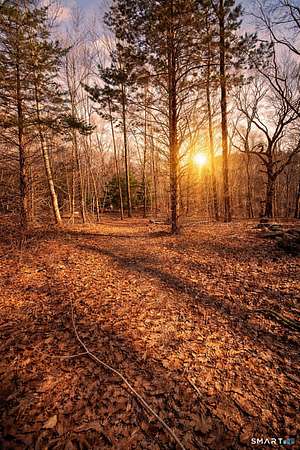 16 Acres of Land for Sale in Norwich, Connecticut