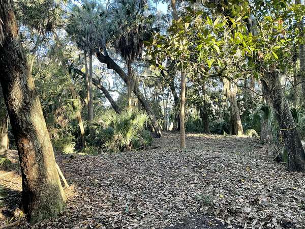 0.53 Acres of Residential Land for Sale in Edisto Beach, South Carolina