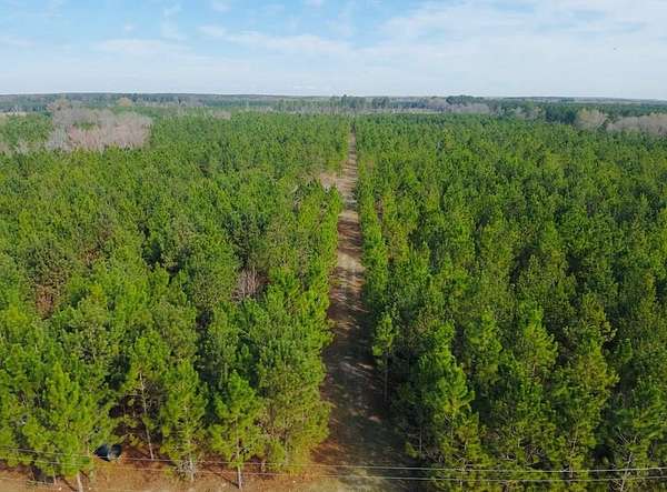 130 Acres of Recreational Land for Sale in Pineview, Georgia