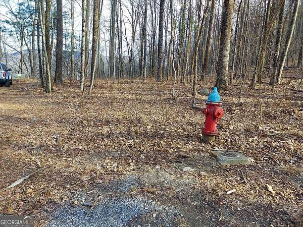 0.65 Acres of Residential Land for Sale in Sky Valley, Georgia