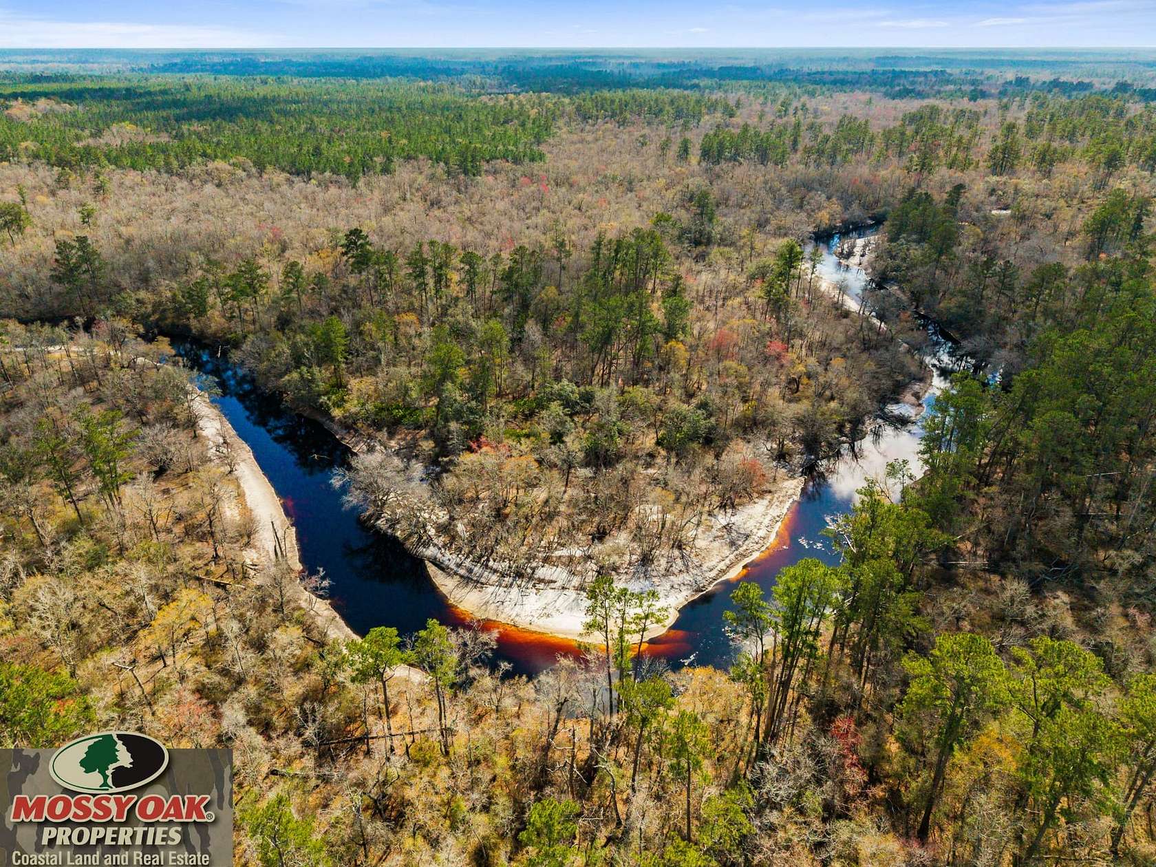200 Acres of Recreational Land for Sale in Fargo, Georgia