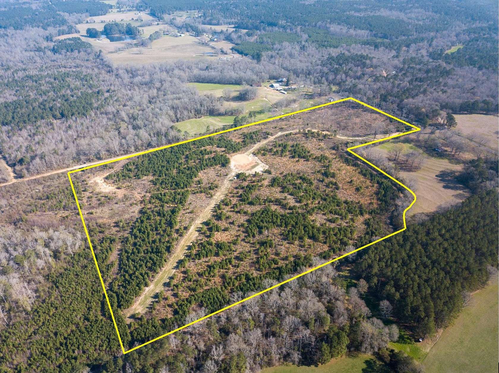 49.1 Acres of Recreational Land for Sale in Newton, Mississippi