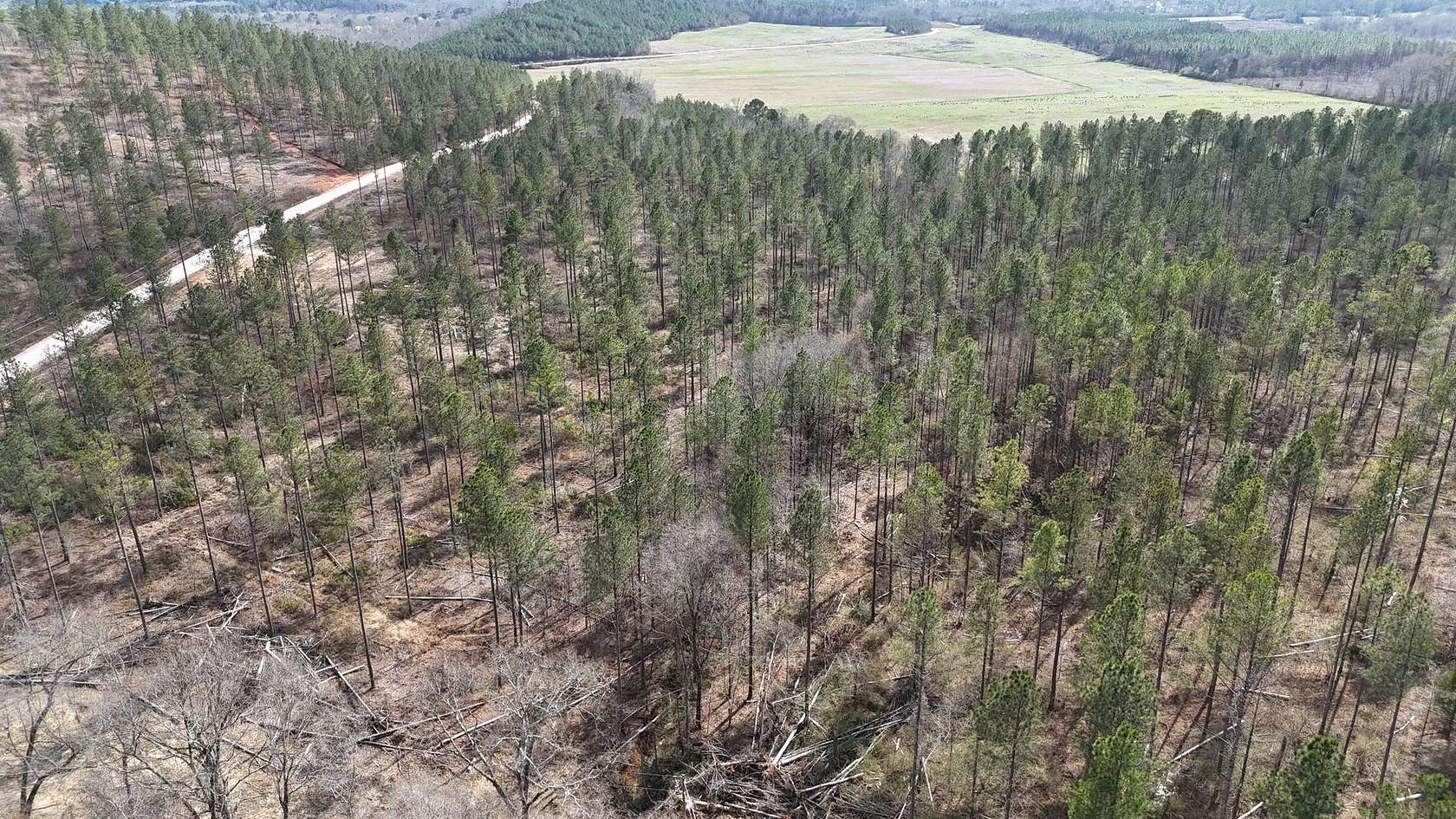 8 Acres of Residential Land for Sale in Piedmont, Alabama