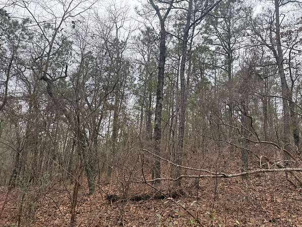 20 Acres of Land for Sale in Verbena, Alabama