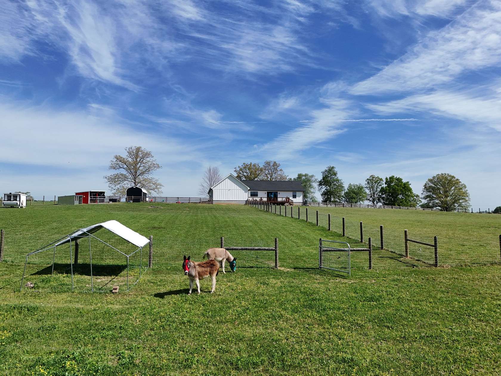 8.5 Acres of Land for Sale in McMinnville, Tennessee