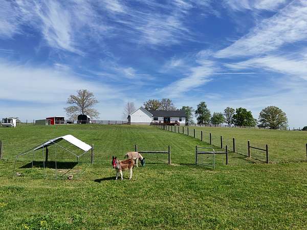 8.5 Acres of Residential Land for Sale in McMinnville, Tennessee