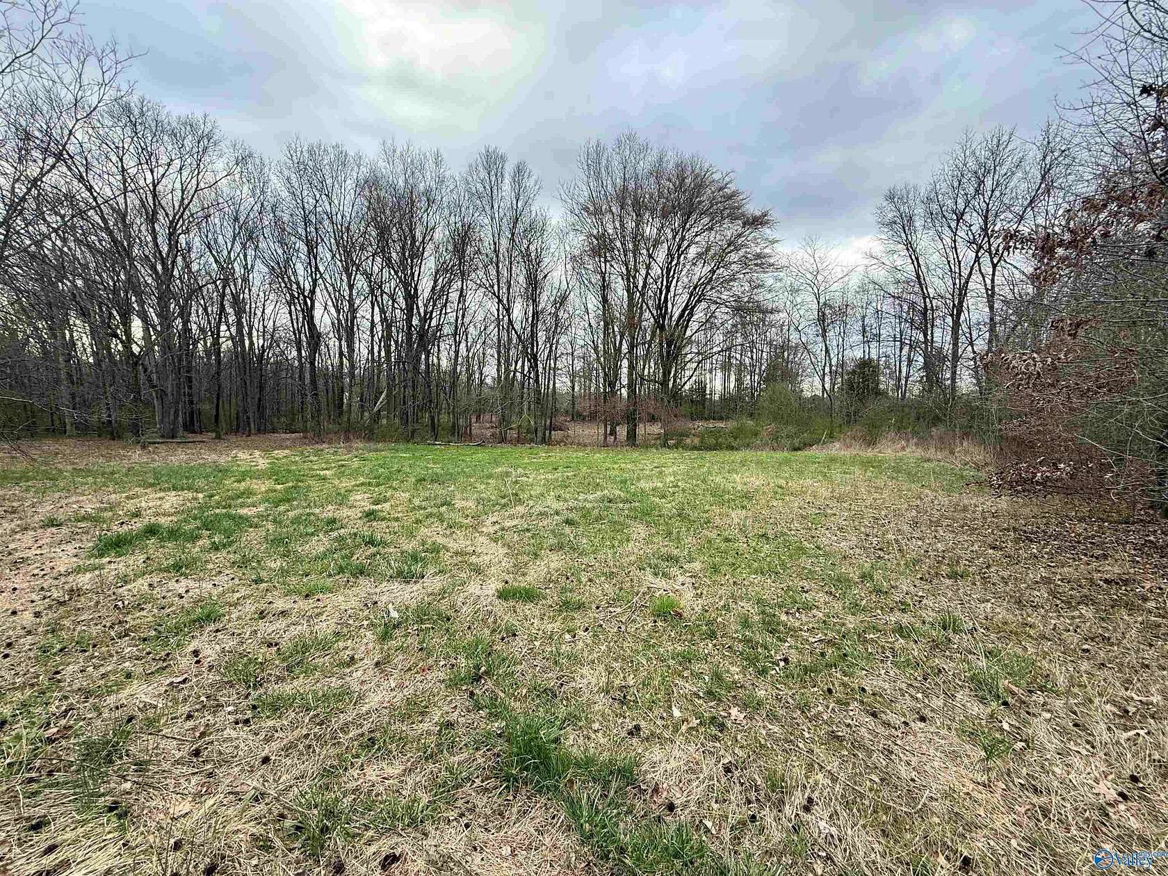11.9 Acres of Land for Sale in Toney, Alabama