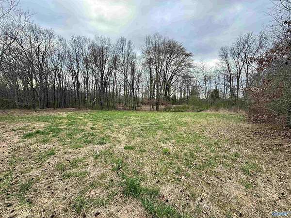 11.9 Acres of Land for Sale in Toney, Alabama