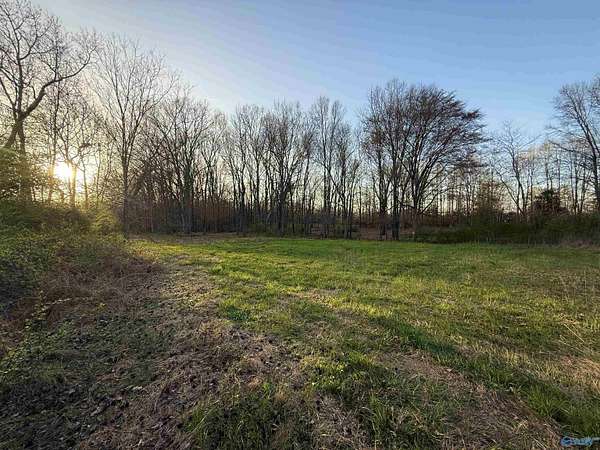 11.9 Acres of Land for Sale in Toney, Alabama