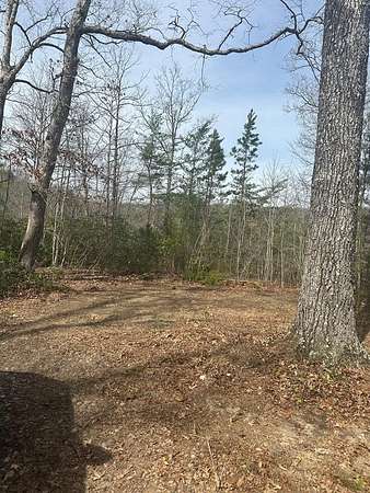 5.39 Acres of Residential Land for Sale in Wilder, Tennessee