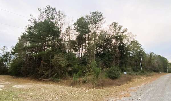 0.83 Acres of Residential Land for Sale in Village Mills, Texas