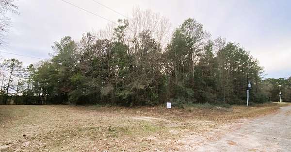 0.68 Acres of Residential Land for Sale in Village Mills, Texas