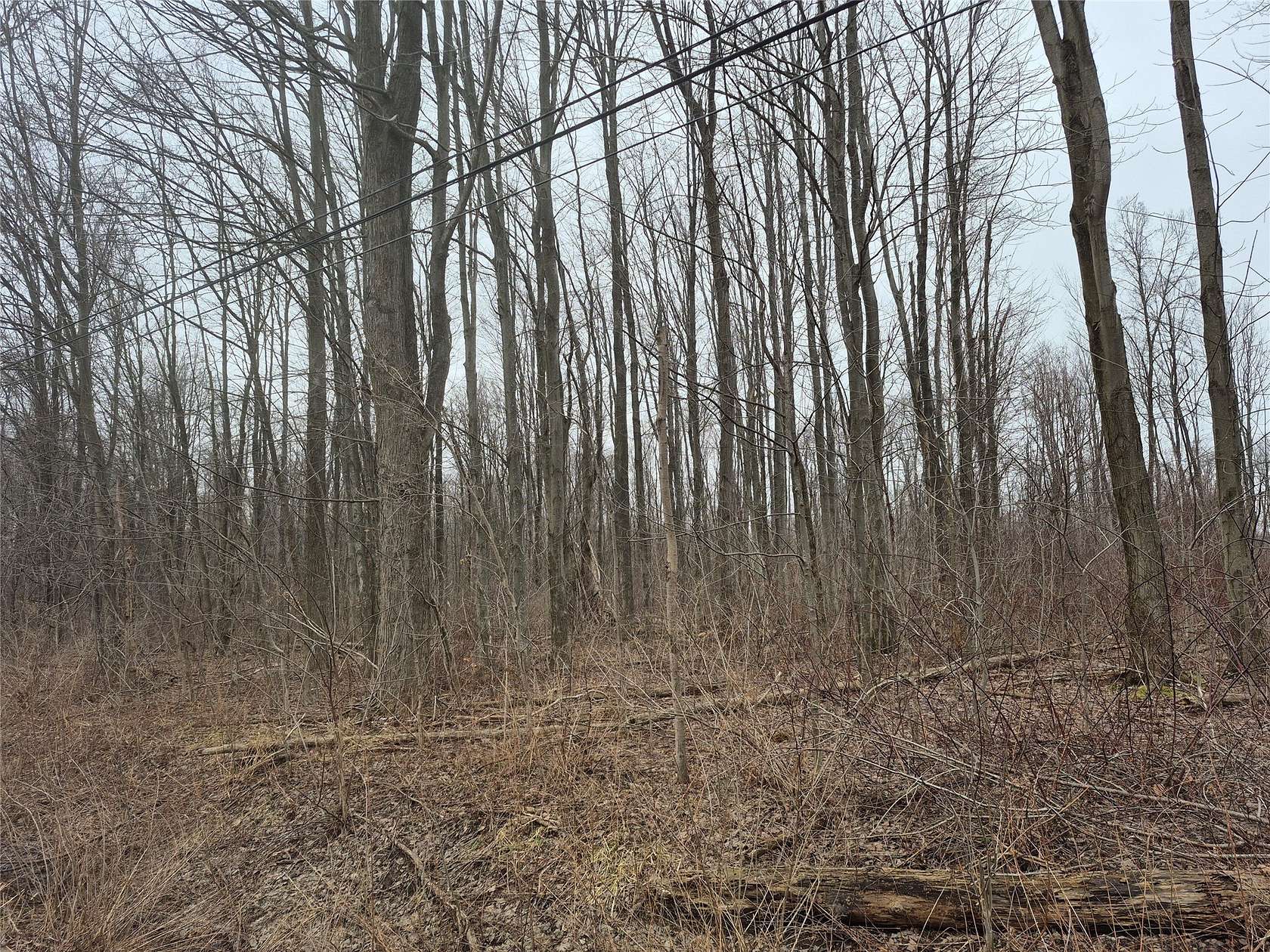 53.3 Acres of Land for Sale in Albion, Pennsylvania