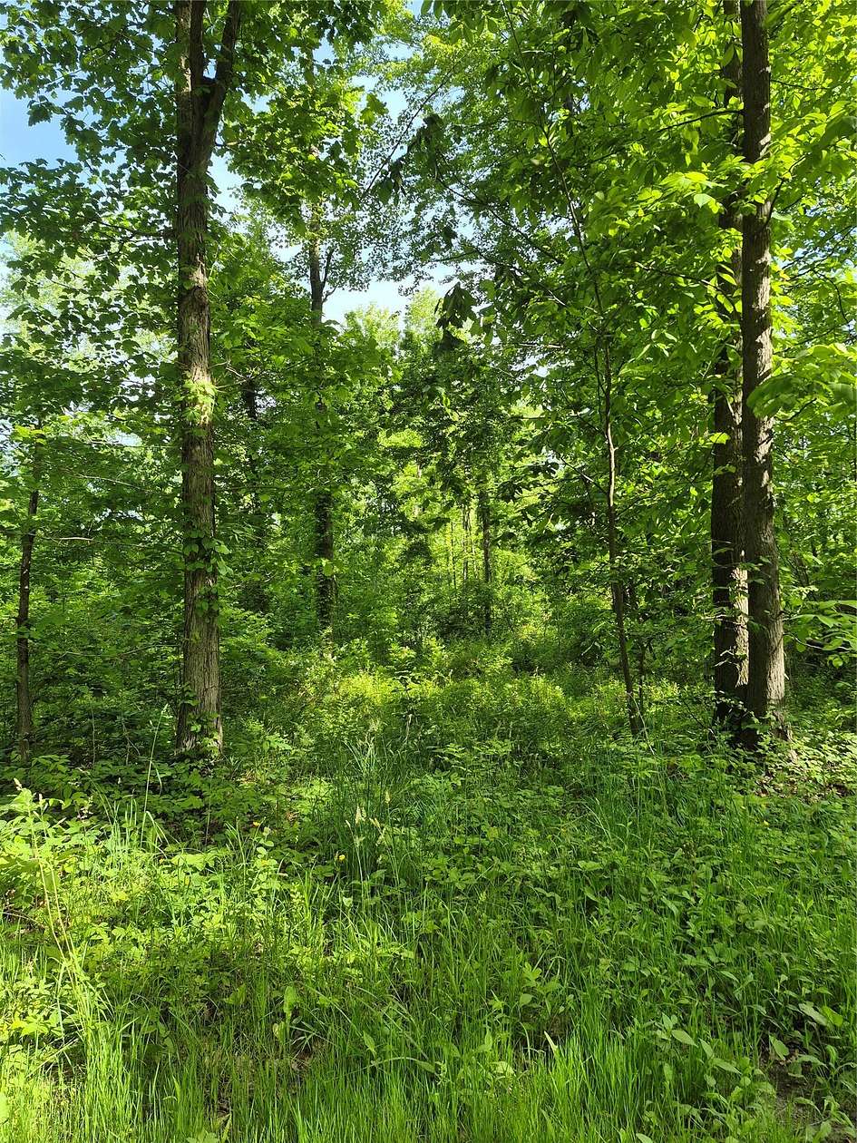 53.3 Acres of Recreational & Residential Land for Sale in Albion, Pennsylvania