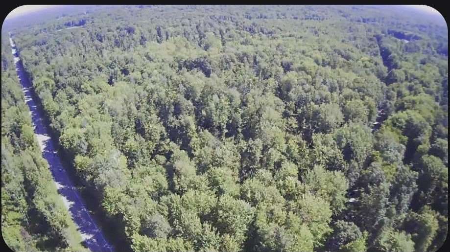 53.3 Acres of Recreational & Residential Land for Sale in Albion, Pennsylvania