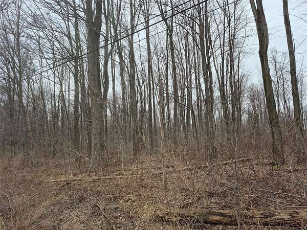 53.3 Acres of Land for Sale in Albion, Pennsylvania