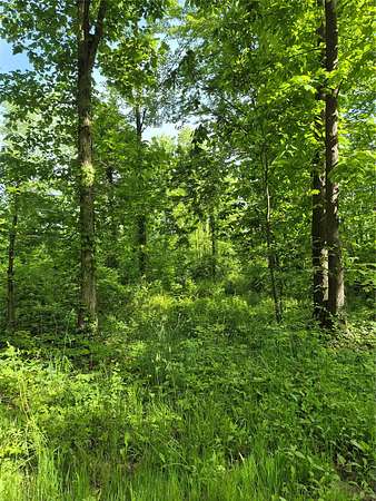 53.3 Acres of Recreational & Residential Land for Sale in Albion, Pennsylvania