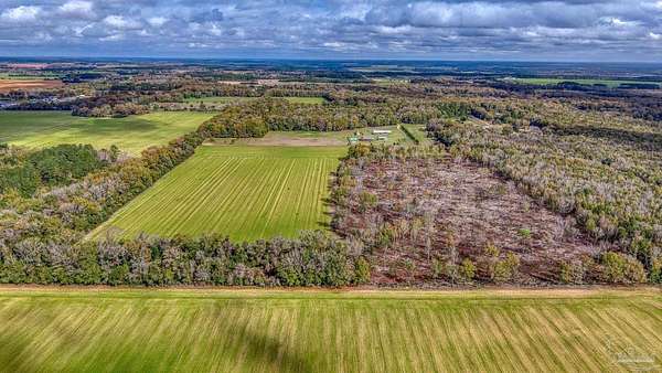 43 Acres of Land for Sale in Milton, Florida