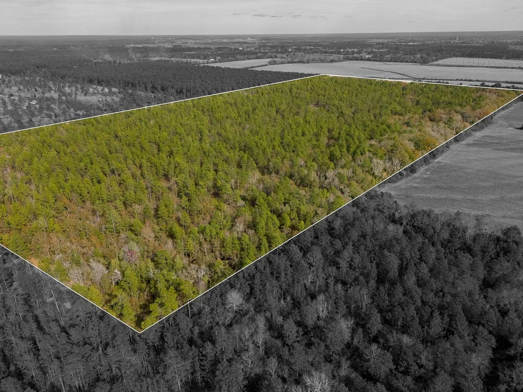79.3 Acres of Recreational & Residential Land for Sale in Baker, Florida