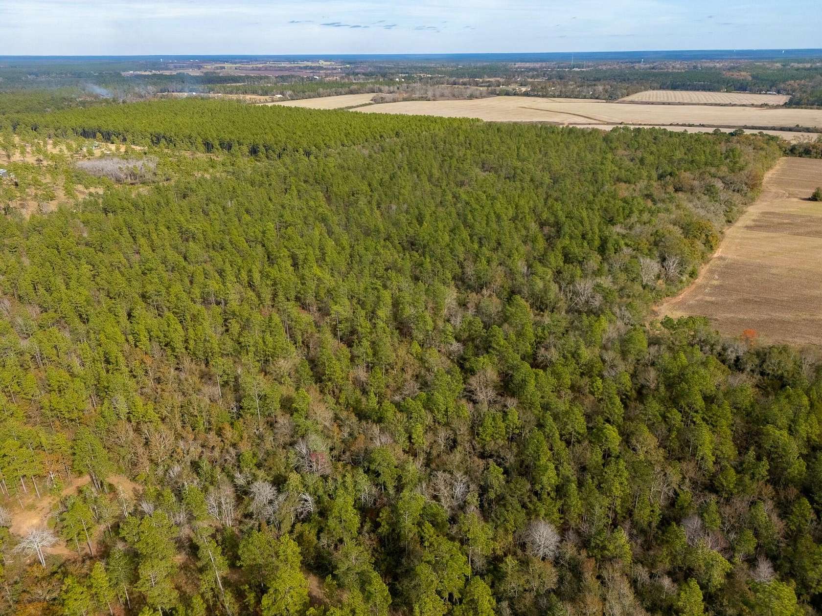 79.3 Acres of Recreational & Residential Land for Sale in Baker, Florida