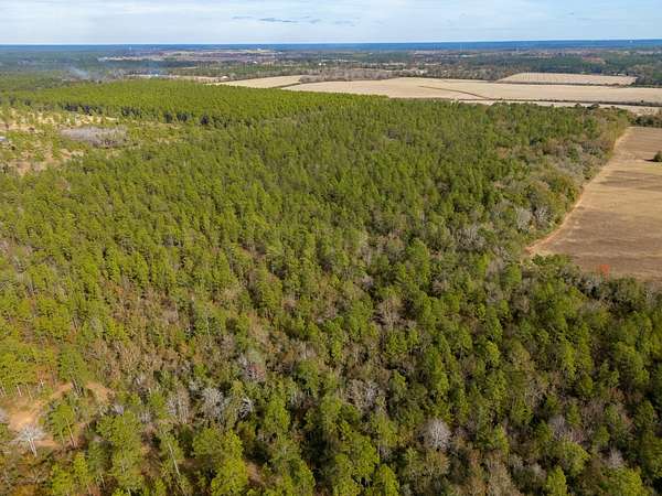 79.3 Acres of Recreational & Residential Land for Sale in Baker, Florida