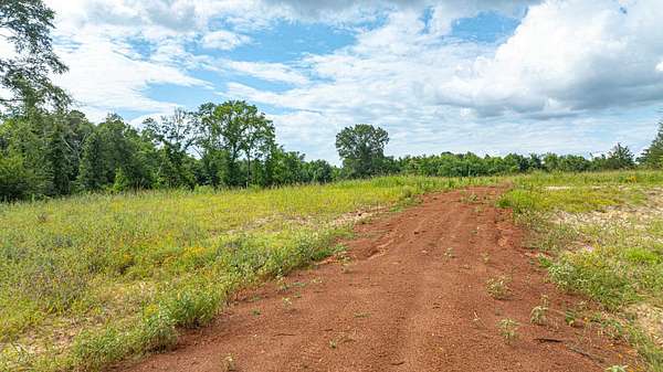 20.3 Acres of Recreational & Residential Land for Sale in Henderson, Texas