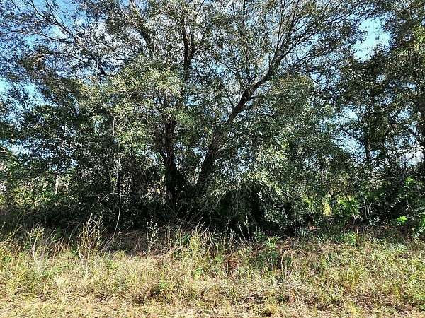 0.23 Acres of Residential Land for Sale in North Port, Florida
