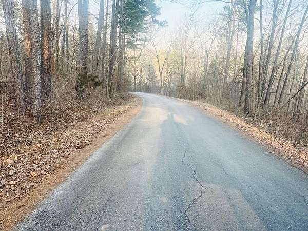 11.8 Acres of Land for Auction in Van Buren, Missouri