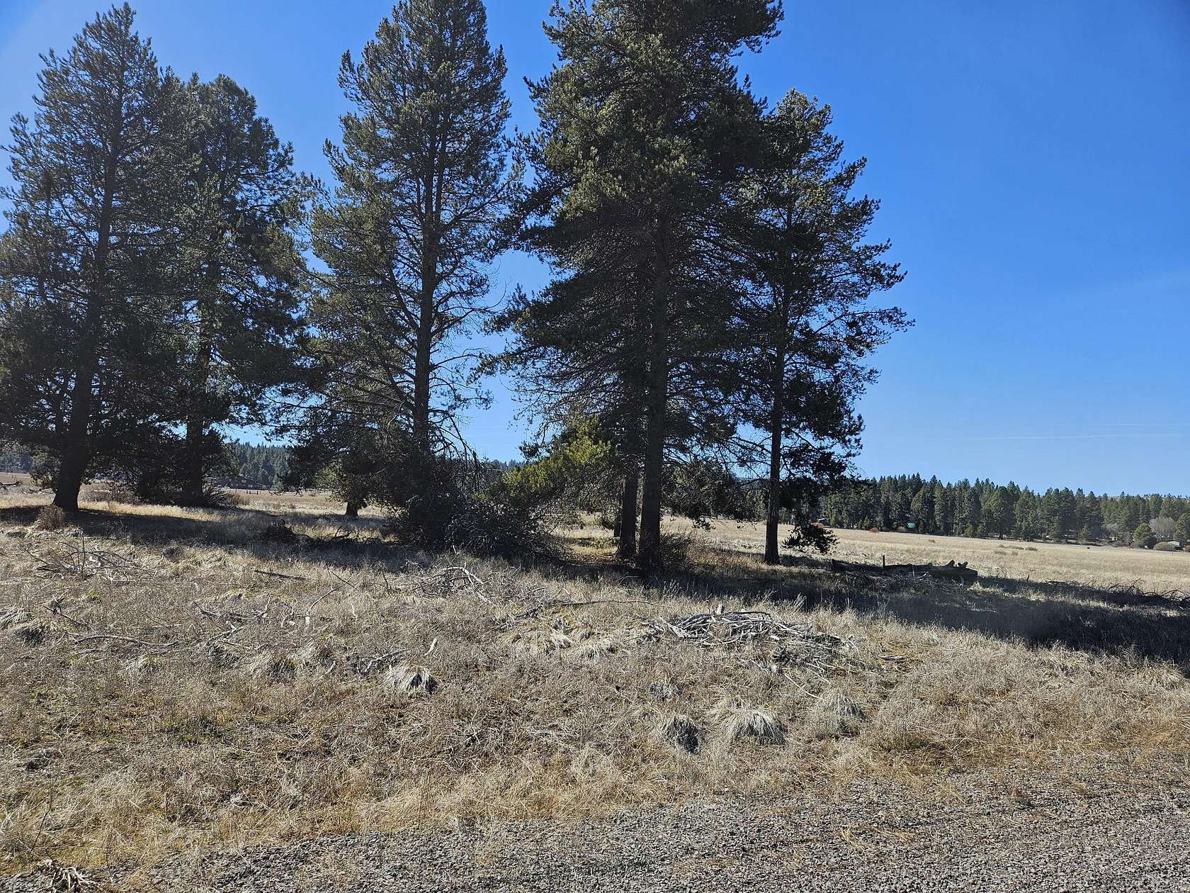 5 Acres of Residential Land for Sale in Chiloquin, Oregon