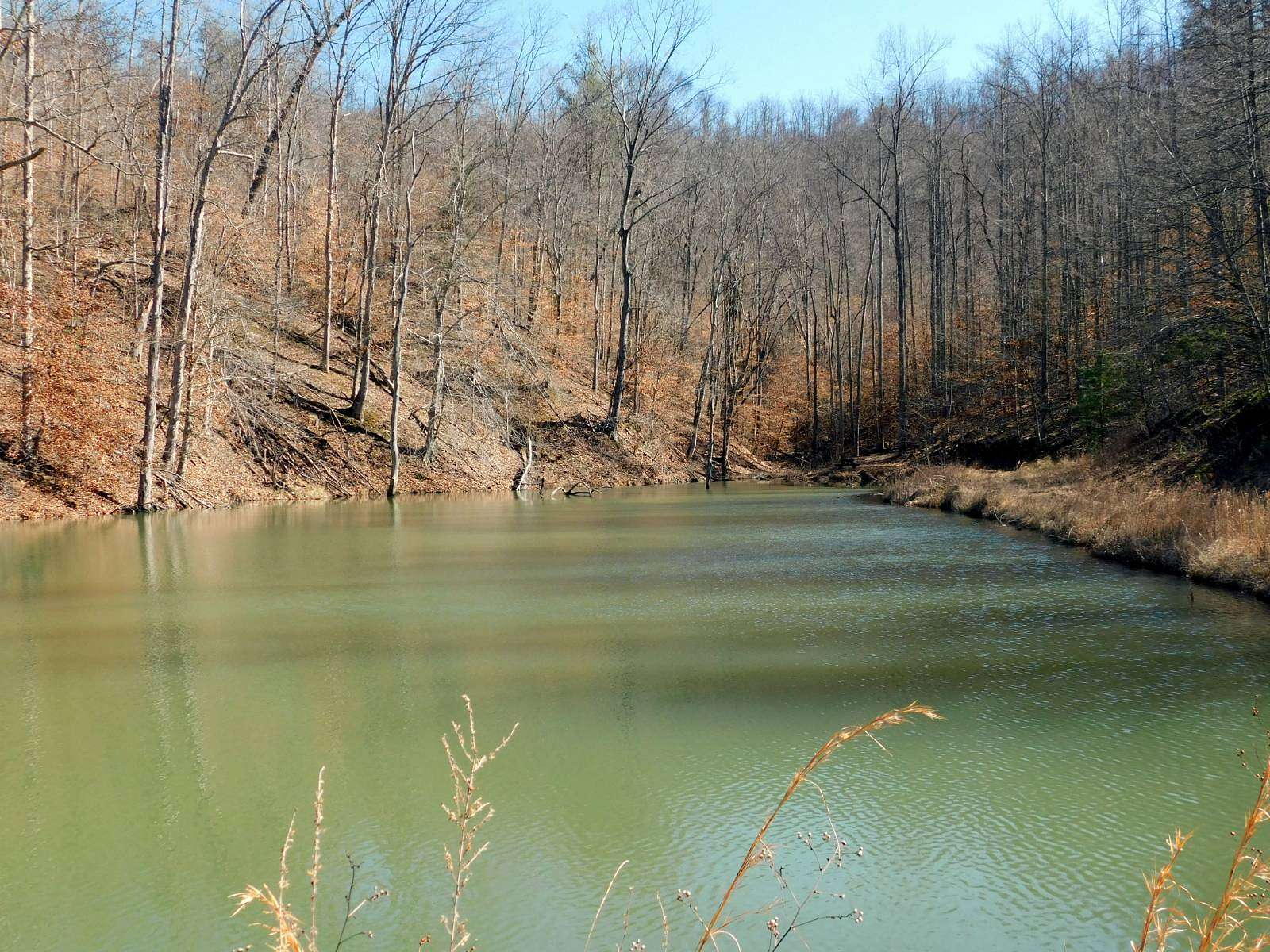 90 Acres of Recreational & Residential Land for Sale in West Liberty, Kentucky