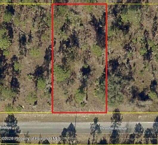 0.46 Acres of Residential Land for Sale in Weeki Wachee, Florida